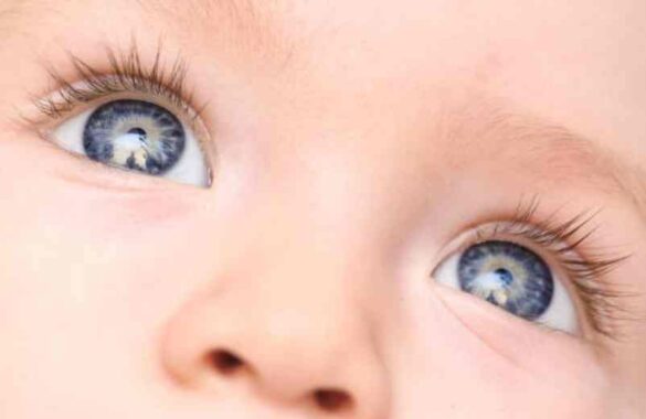 Comment savoir si bébé gardera ses yeux bleus ? - Cosmic Tomatoes